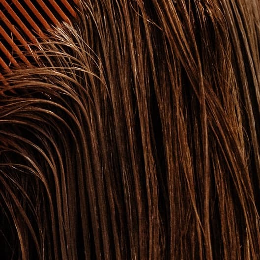 Milbon Treatment & Blowout at Salon ROSS in Highland Park, IL